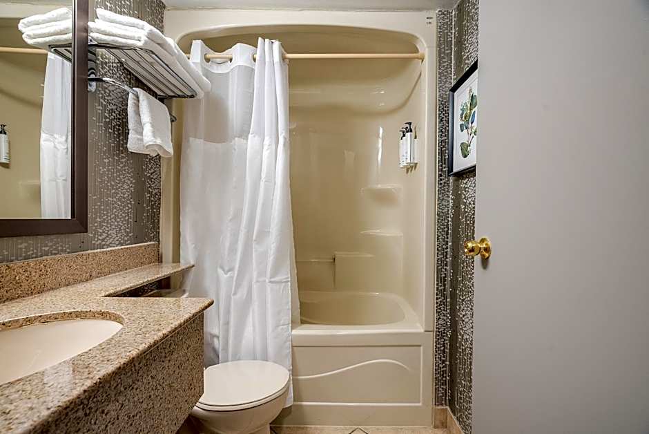 Monte Carlo Inn Toronto West Suites