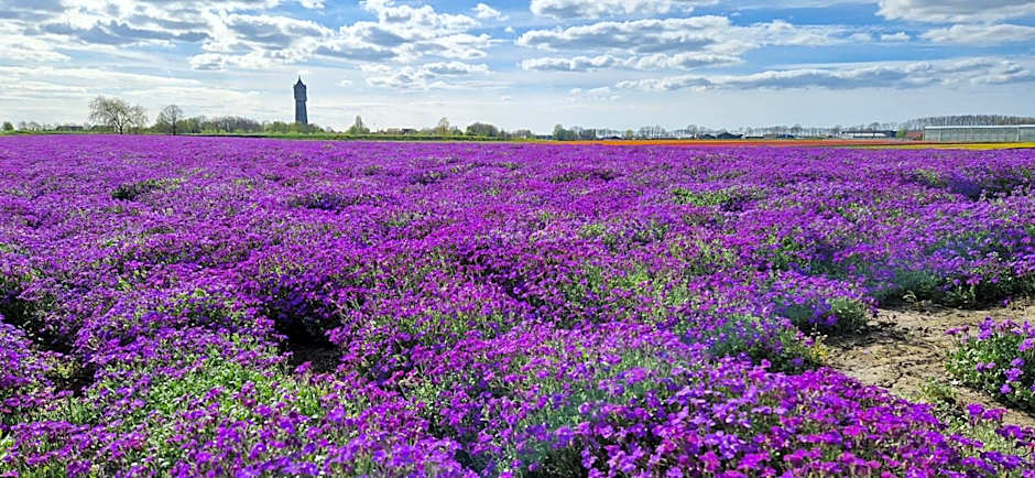 Bed & Brasserie Het Kosthuys