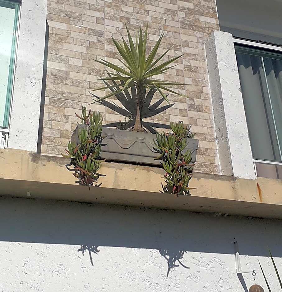 Pousada Beach Eco House Floripa Com Ar Condicionado