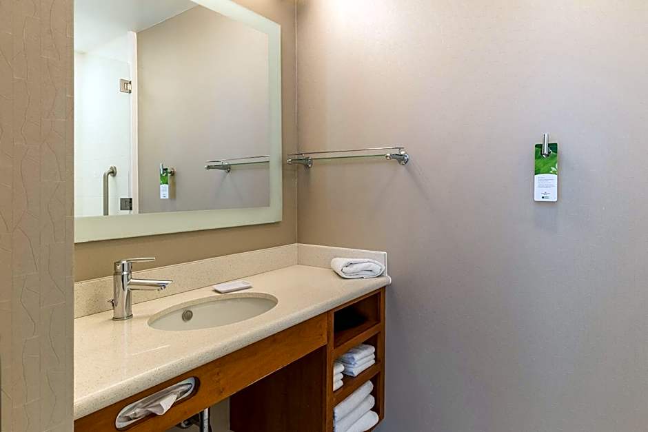 SpringHill Suites by Marriott Houston Rosenberg