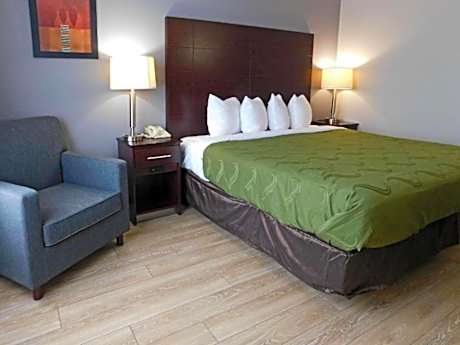 King Room Pet Friendly - Accessible/Non-Smoking