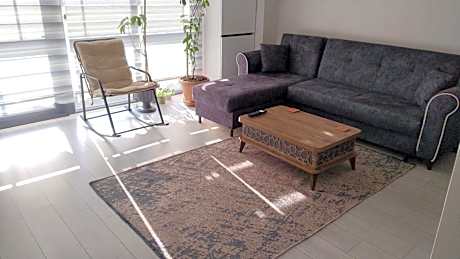 Ankara Esenboğa Airport Luxury Apart Concept