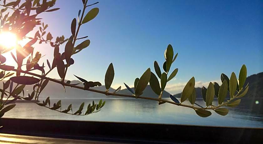 Shodoshima Olive Youth Hostel