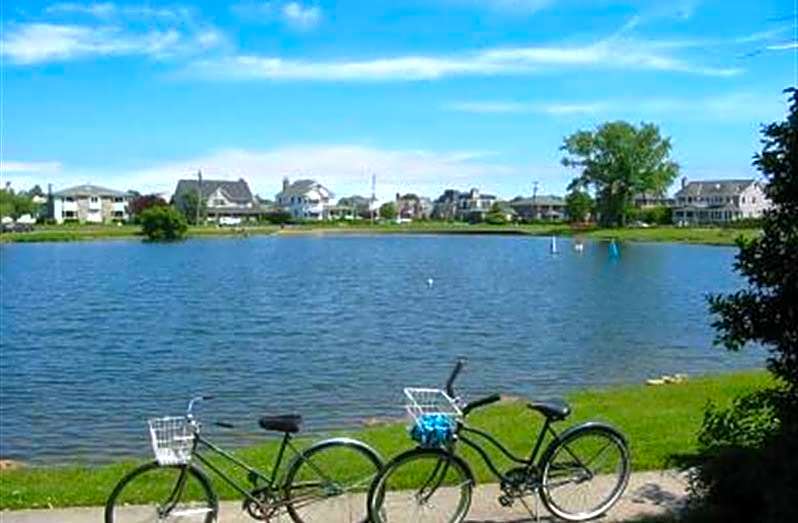 Walden on the Pond