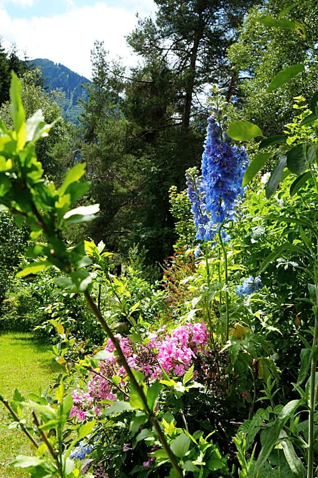 Boutique Hotel Herzhof - Garni-Appartements - Adults Only