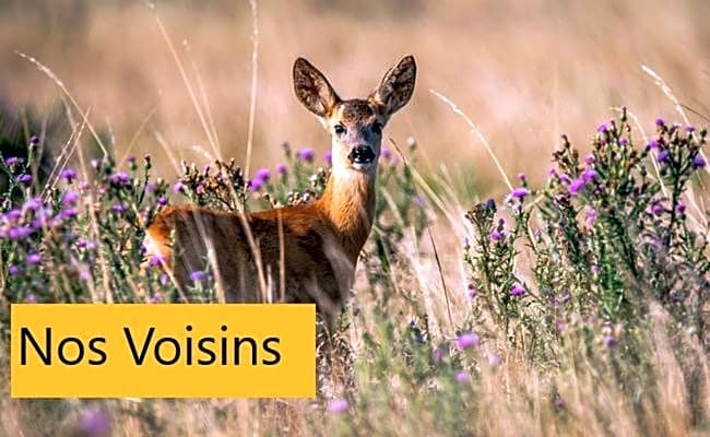 Reflets de la Mer...