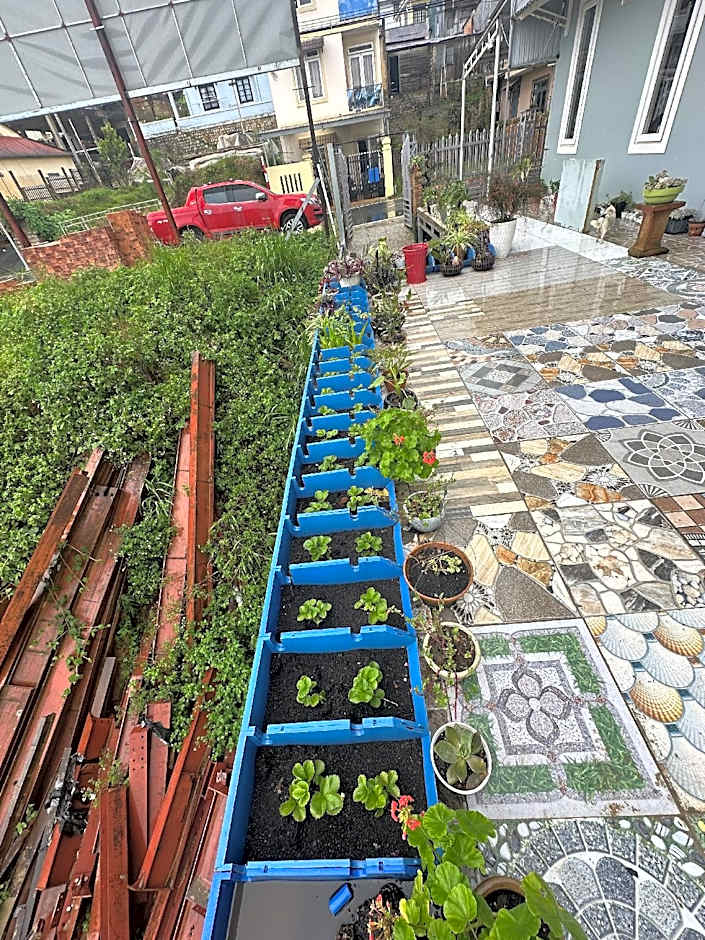 Cỏ Bốn Lá Homestay