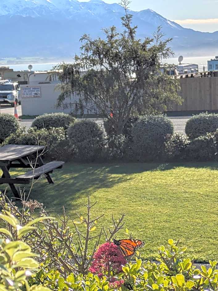 The Peninsula Kaikoura