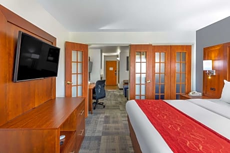 1 King Bed, Business Room, Suite, Nonsmoking