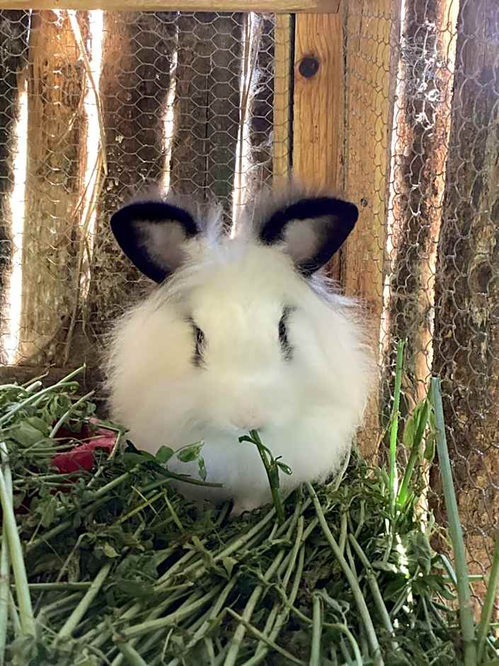 Hotel las carretas , spa y temazcal