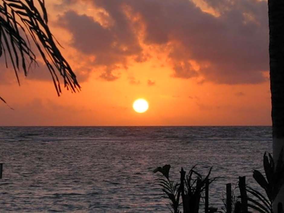 Margarita del Sol Hotel Costa Maya