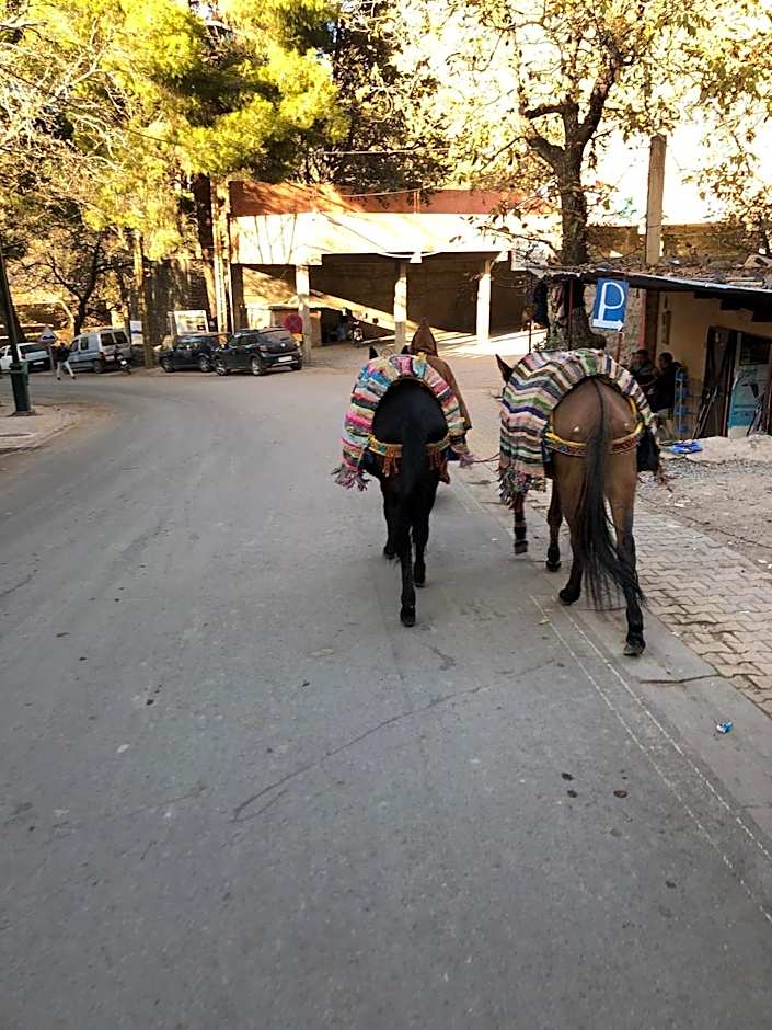 Riad Atlas 4 Seasons