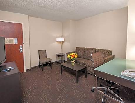1 King Bed Whirlpool Parlor Suite Non-Smoking