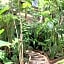 Orchid House Tulum