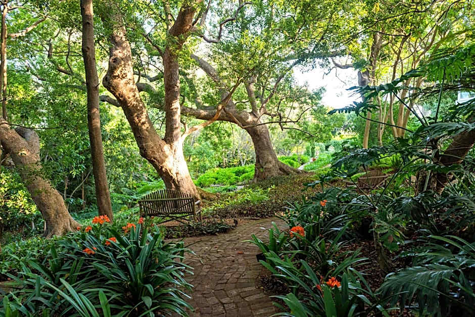 The Cellars-Hohenort