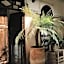 Riad Maison 24