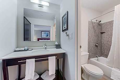 Deluxe King Suite - Non-Smoking