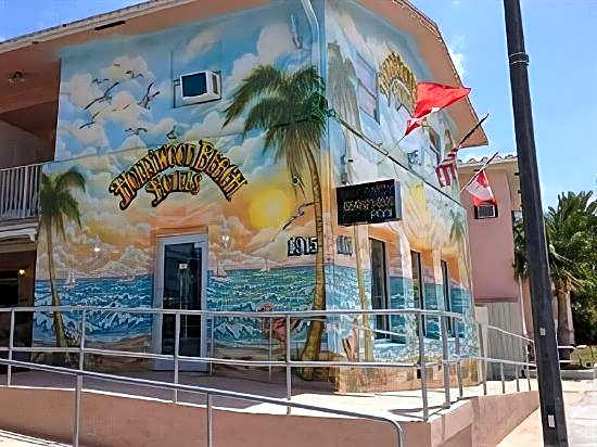 Hollywood Beach Seagull