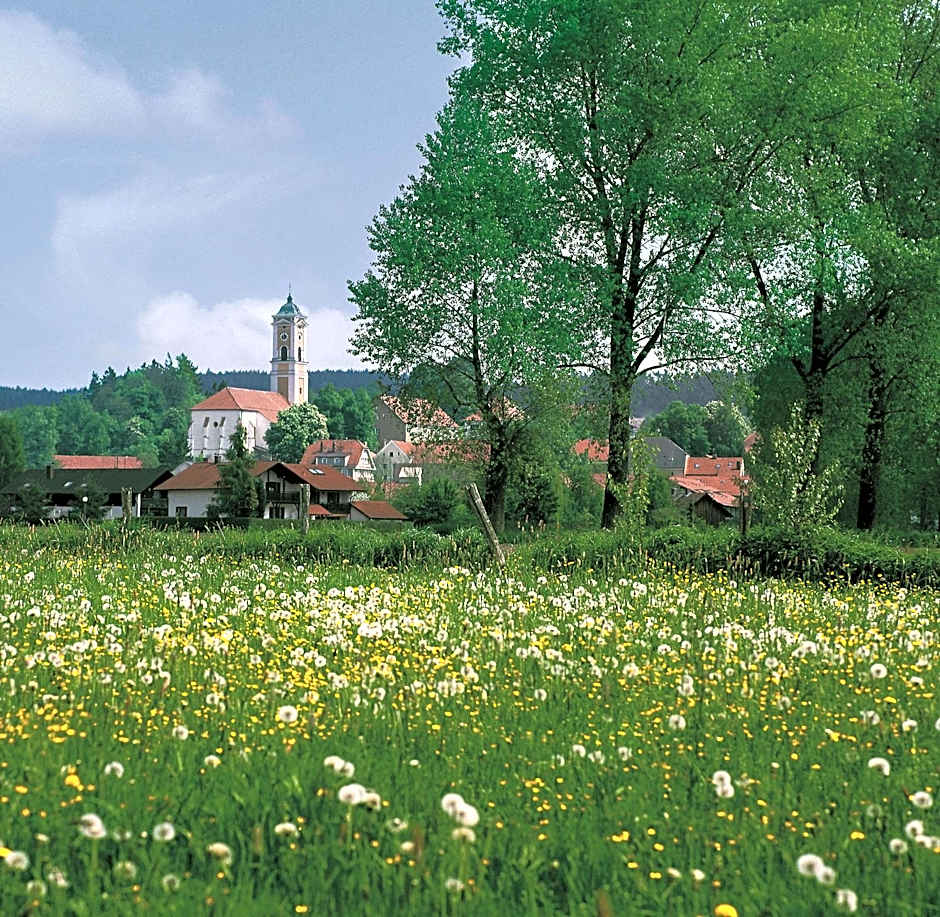 Best Western Aparthotel Birnbachhohe