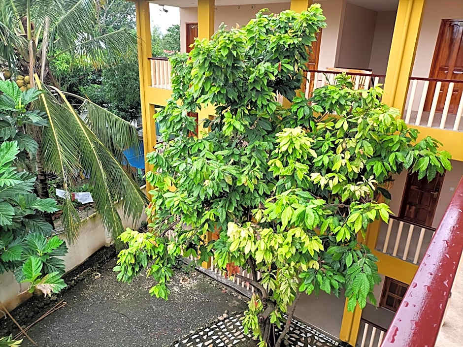 Speed 8 Inn Moalboal