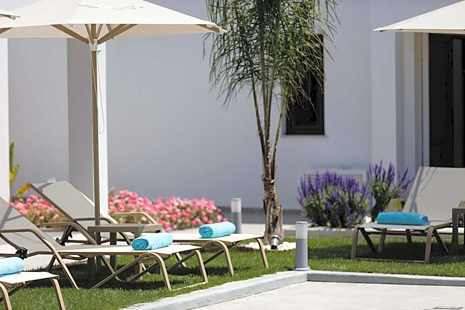 Coconut Palm Paradise