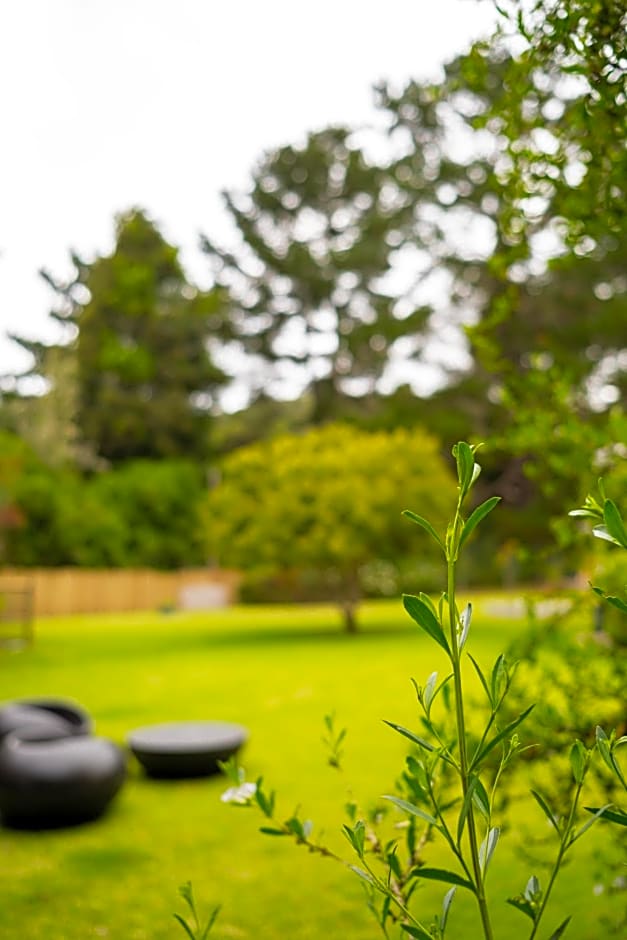 BWHALE guest house B&B