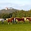 Land- und Aktivhotel Altmühlaue