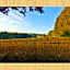 Grünvogels Landgasthof zum Grünen Baum