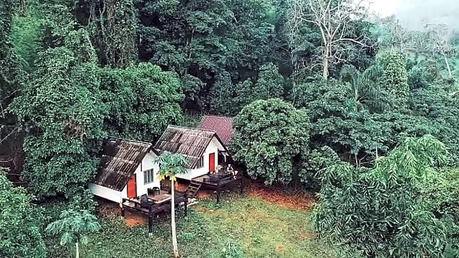 Jungle guest house