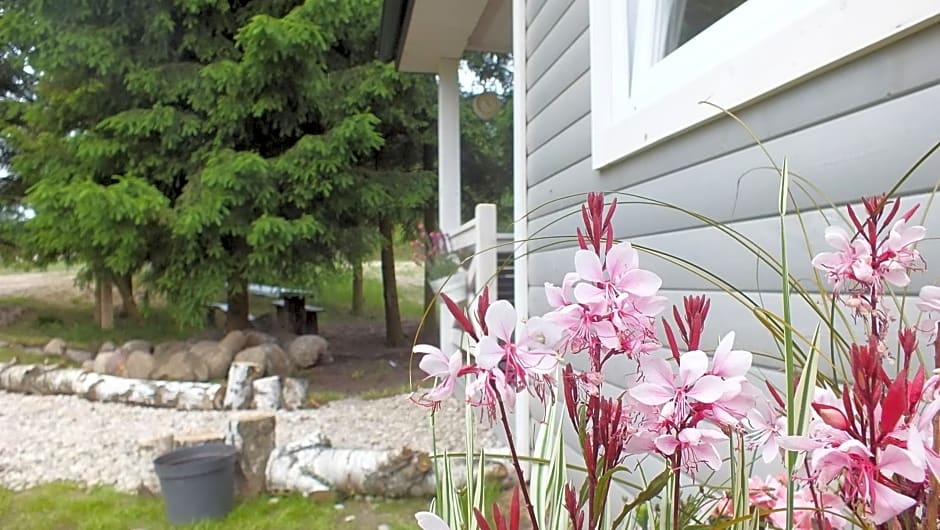 Domki w Dolinie Wieżycy