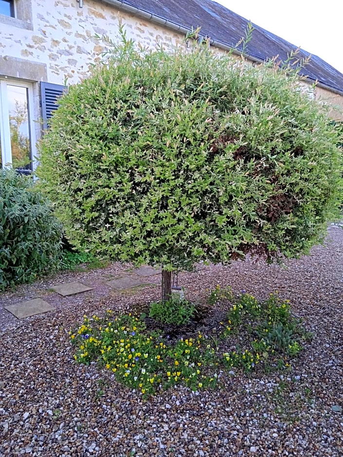 La Lisière du Morvan