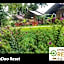 Chiang Dao Reset