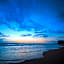 Saffron & Blue