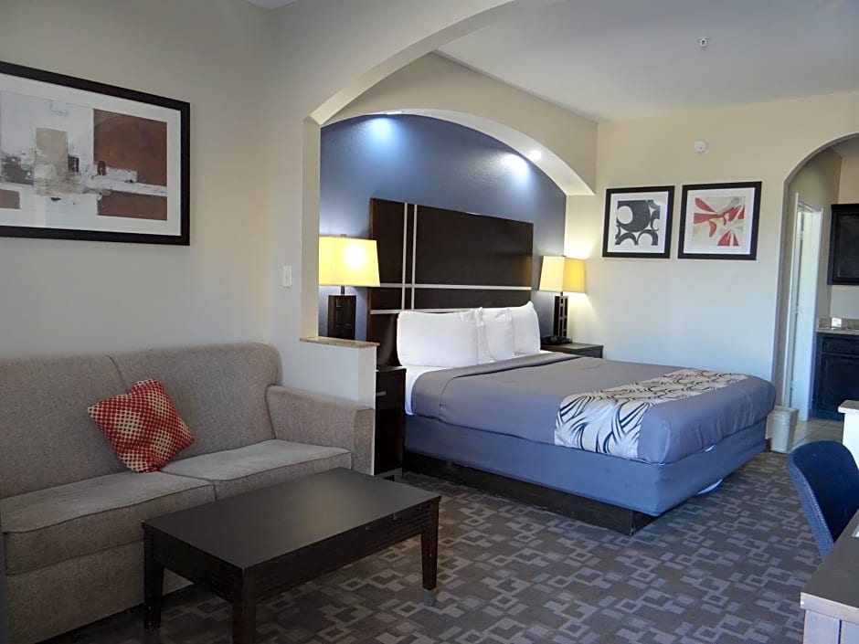 Regency Inn & Suites - Baytown