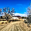 Sneeuberg Nature Reserve
