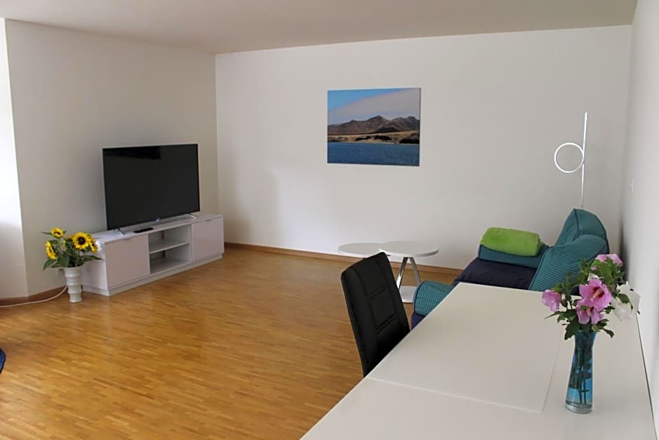 A Casa Fina- a modern room close to Basel