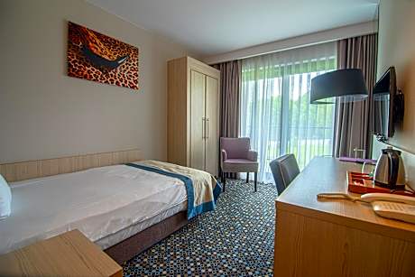 Superior Single Room