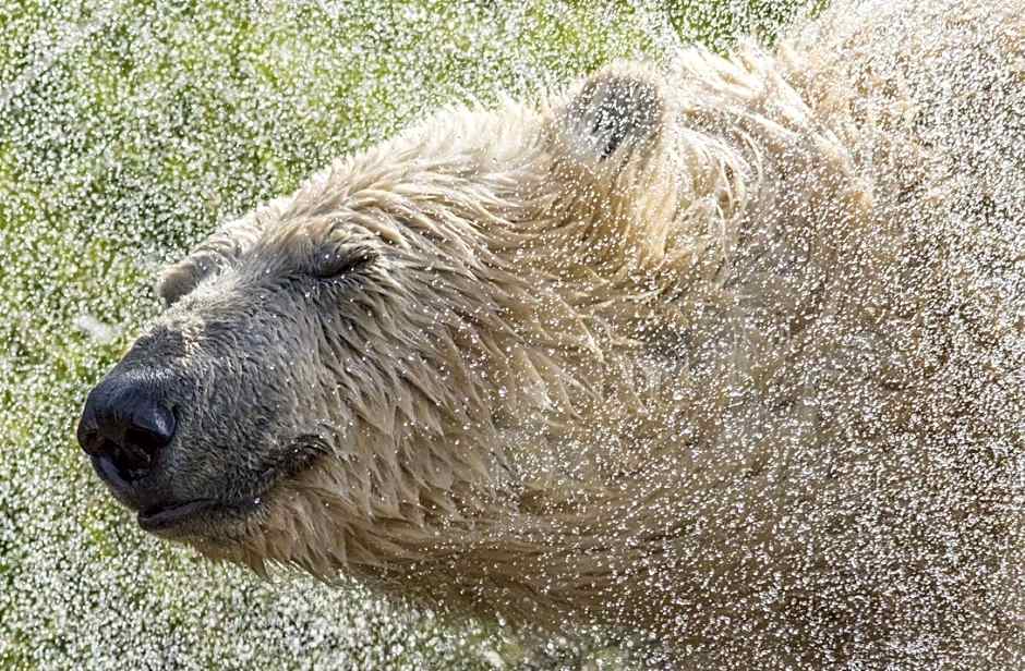 Hex Wildlife Hotel at Yorkshire Wildlife Park