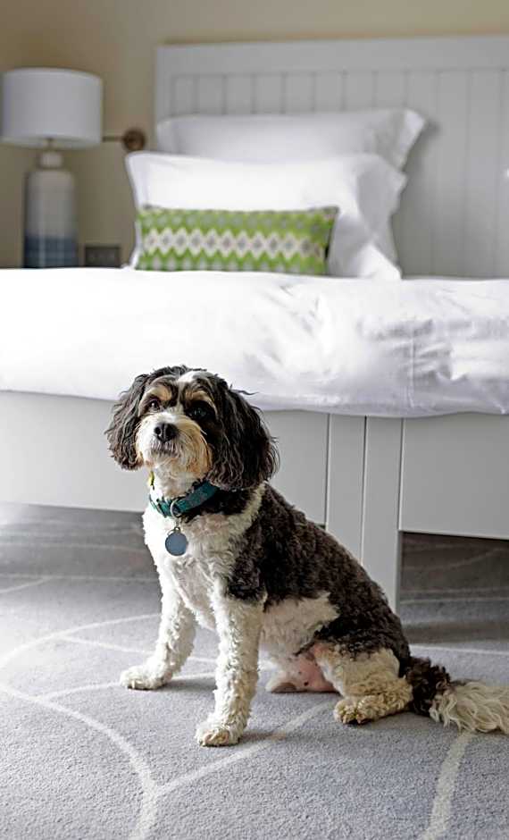 Another Place, The Machrie