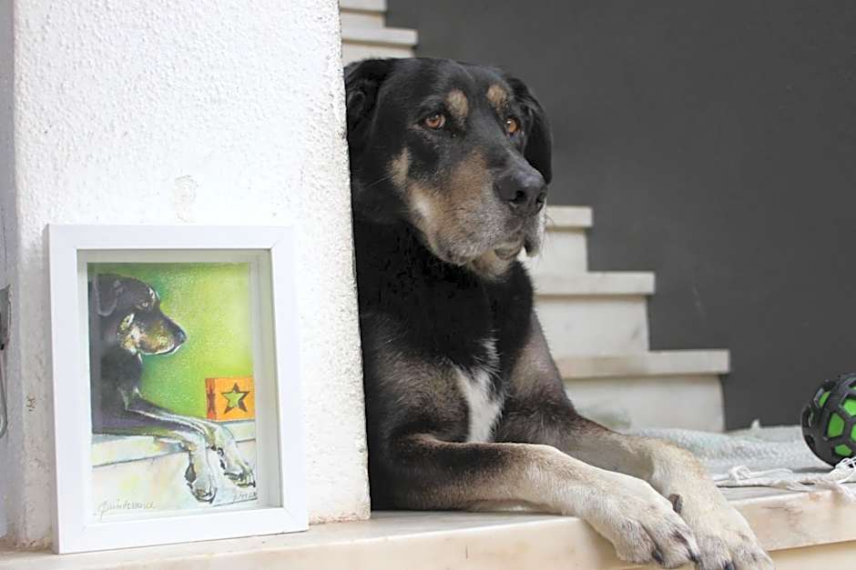 5th Element Beach House Caparica