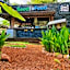 The Willow Phangan