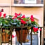 Hostal Poblenou