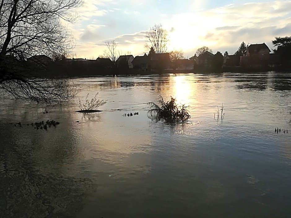 LES PINGOUINS DE LA MARNE