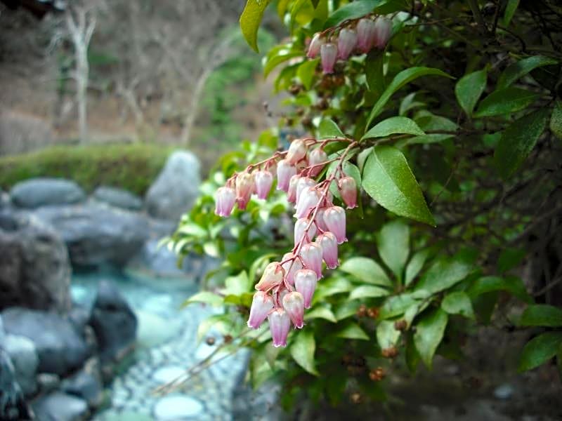 Shima Tamura Ryokan