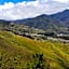 Crystal Hill R