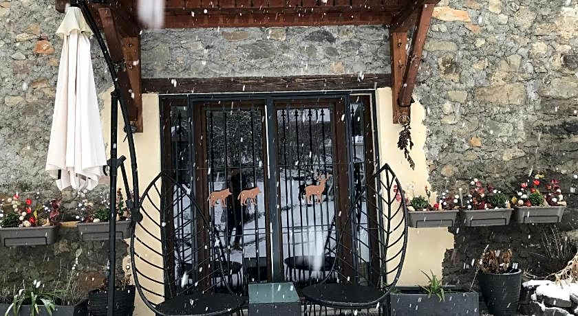 AU SOMMET DES NARCISSES