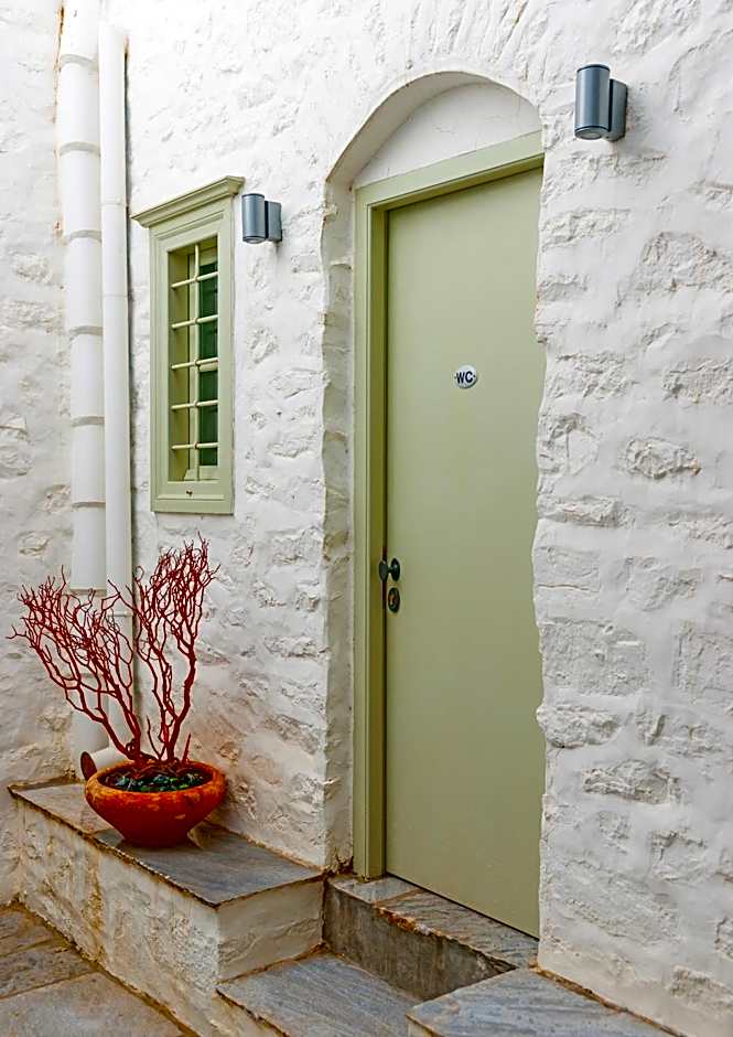 Cotommatae Hydra 1810