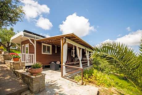 Hakuna Matata Holidays wooden lodge with airco & pool in Greek Olive Grove