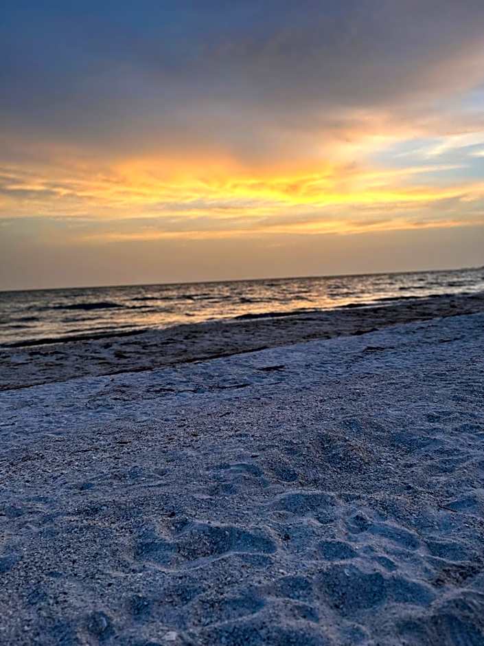 Always Summer On a White Sandy Beach