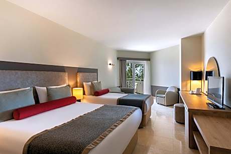 Standard Large Double Room